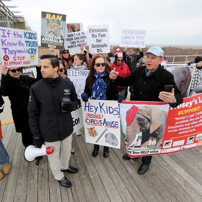 A protest by animal rights activist was joined by New Jersey State Senator Raymond Lesniak (D-20) outside  the Wildwoods Convention Center, Tuesday March 27, 2018, to protest he Garden Bros. Circus using elephants and other exotic animals in their show.  Lesniak spoke about trying to pass  Nosey's Law - S1093 / A1923, legislation against the use of wild and exotic animals in traveling animal acts. (Dale Gerhard / Press of Atlantic City)