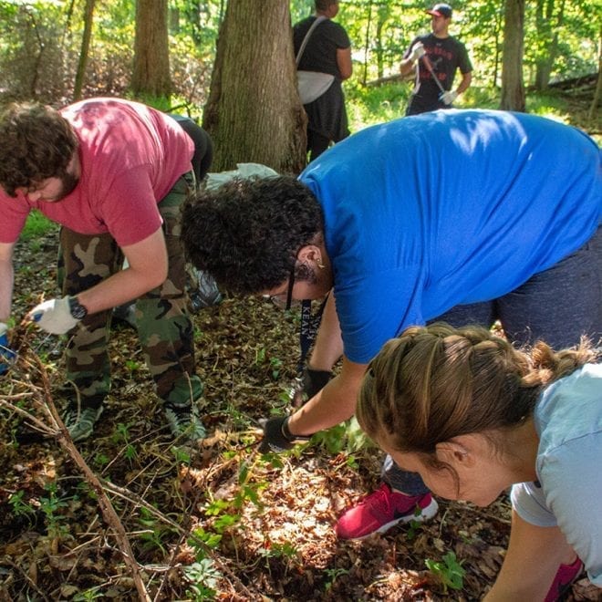 Park Clean Up-1-14