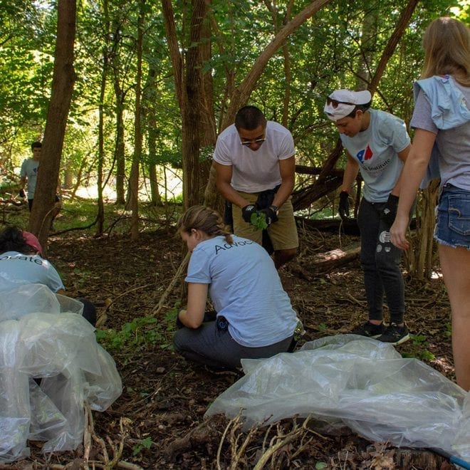 Park Clean Up-1-18