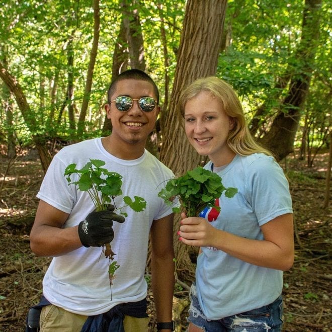 Park Clean Up-1-20