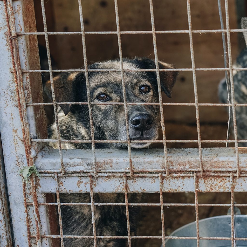 1 sasha-sashina-Xcscr_sNSEY-unsplash