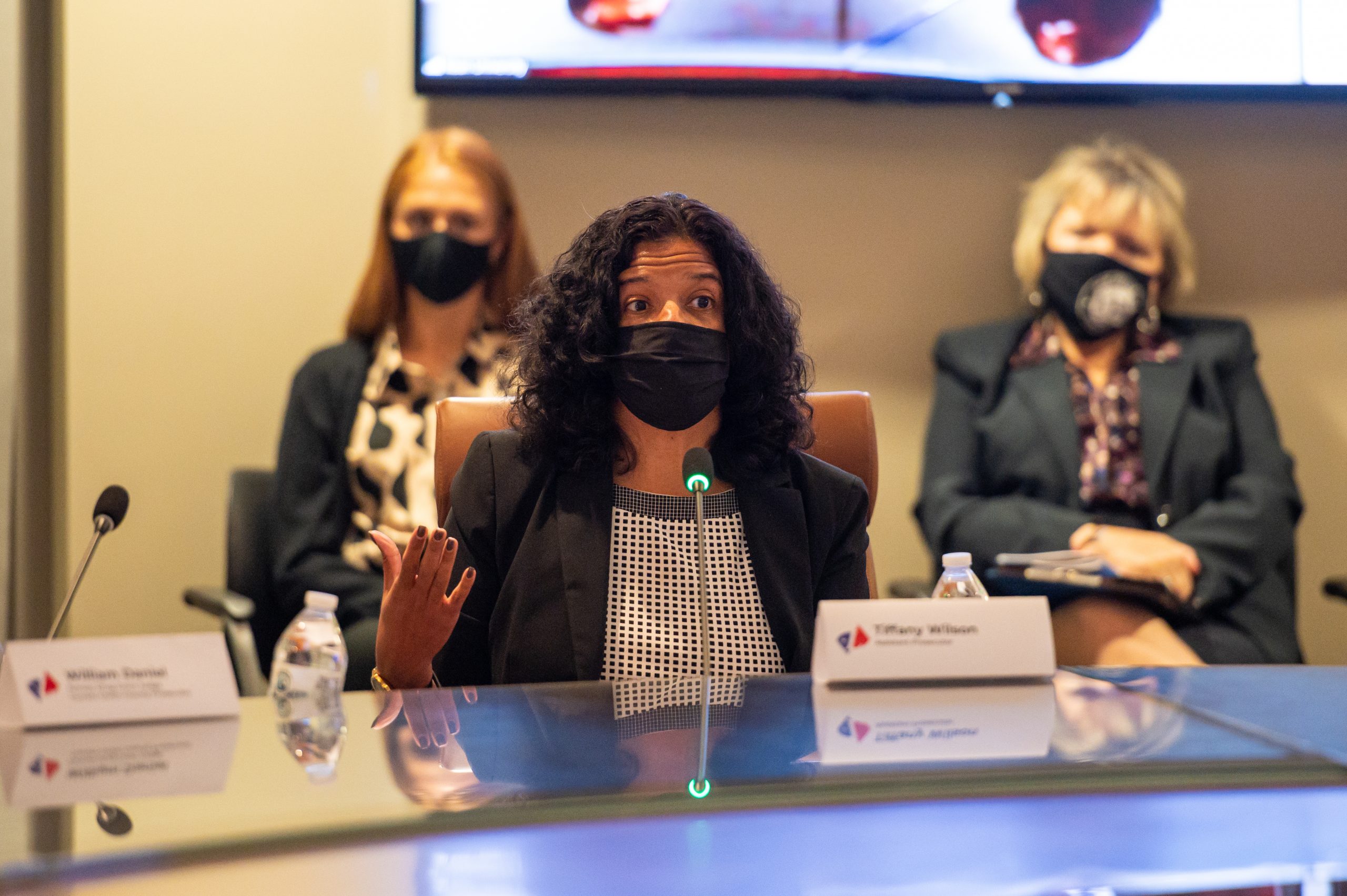Tiffany Wilson discusses Mental Health Courts at the Lesniak Institute and Kean University, Criminalization of Mental Illness Forum 