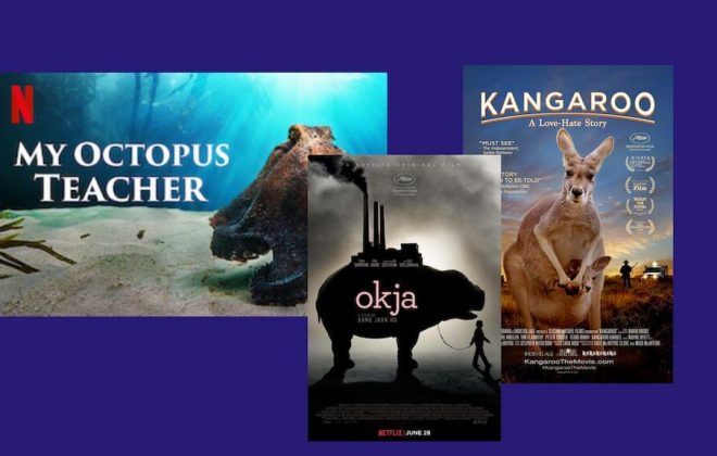 animal welfare films