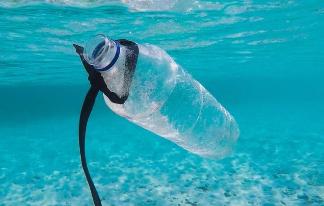 recycled content bill